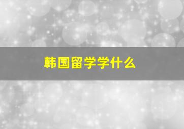 韩国留学学什么