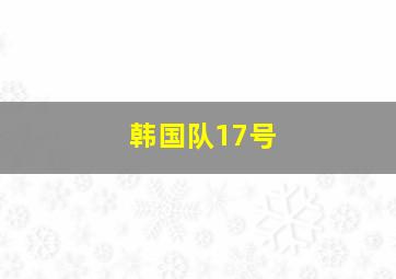 韩国队17号