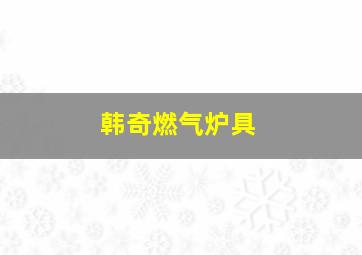 韩奇燃气炉具