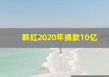 韩红2020年捐款10亿