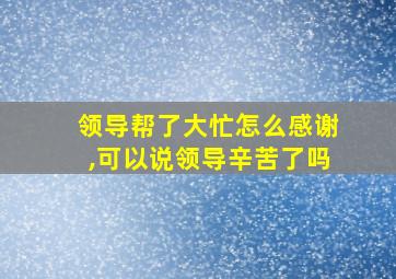 领导帮了大忙怎么感谢,可以说领导辛苦了吗