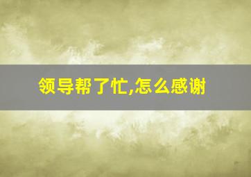 领导帮了忙,怎么感谢