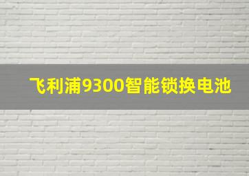 飞利浦9300智能锁换电池