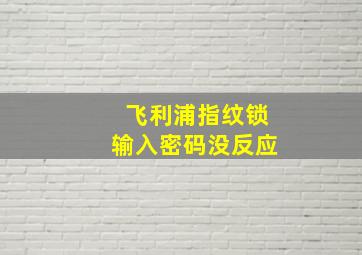 飞利浦指纹锁输入密码没反应