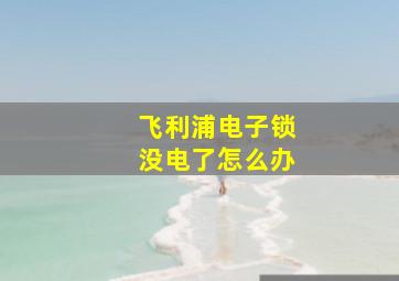 飞利浦电子锁没电了怎么办