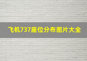 飞机737座位分布图片大全