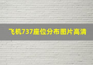 飞机737座位分布图片高清