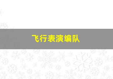 飞行表演编队