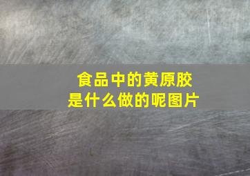 食品中的黄原胶是什么做的呢图片