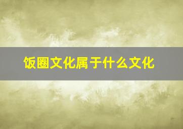 饭圈文化属于什么文化