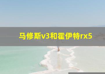 马修斯v3和霍伊特rx5