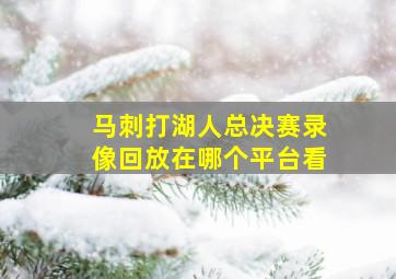 马刺打湖人总决赛录像回放在哪个平台看