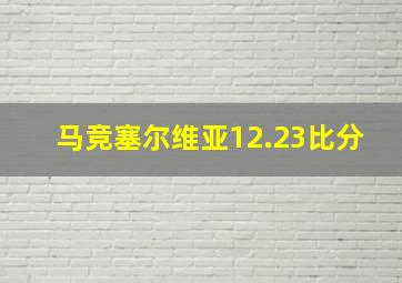 马竞塞尔维亚12.23比分