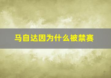 马自达因为什么被禁赛