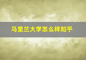 马里兰大学怎么样知乎