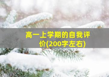 高一上学期的自我评价(200字左右)