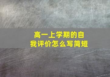 高一上学期的自我评价怎么写简短