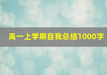 高一上学期自我总结1000字