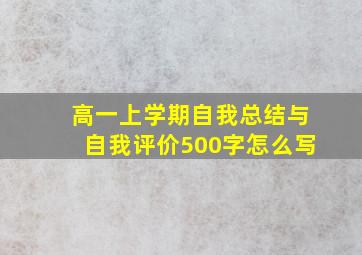 高一上学期自我总结与自我评价500字怎么写