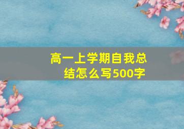 高一上学期自我总结怎么写500字