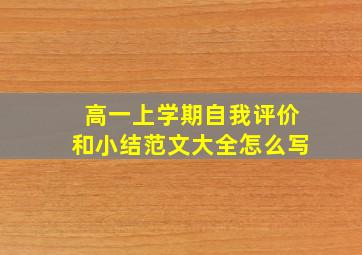 高一上学期自我评价和小结范文大全怎么写