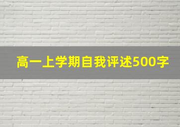 高一上学期自我评述500字