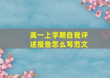 高一上学期自我评述报告怎么写范文