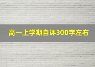 高一上学期自评300字左右