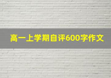 高一上学期自评600字作文