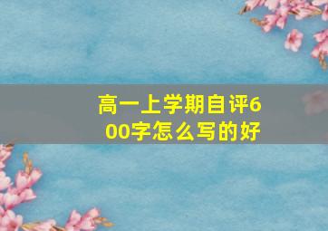 高一上学期自评600字怎么写的好