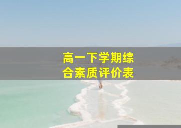 高一下学期综合素质评价表