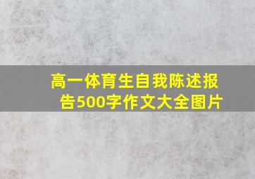 高一体育生自我陈述报告500字作文大全图片