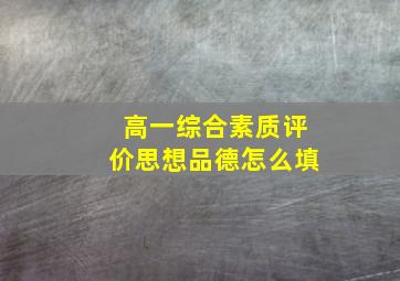 高一综合素质评价思想品德怎么填