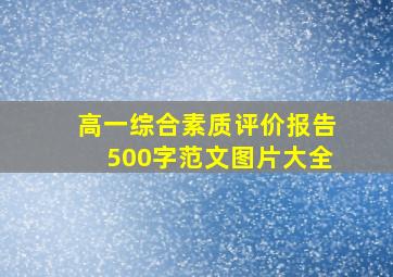 高一综合素质评价报告500字范文图片大全