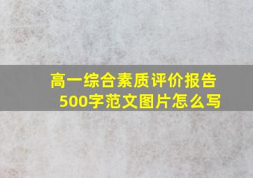 高一综合素质评价报告500字范文图片怎么写