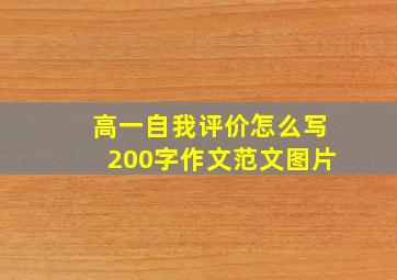 高一自我评价怎么写200字作文范文图片