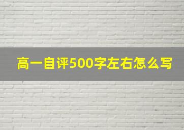 高一自评500字左右怎么写