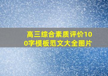 高三综合素质评价100字模板范文大全图片