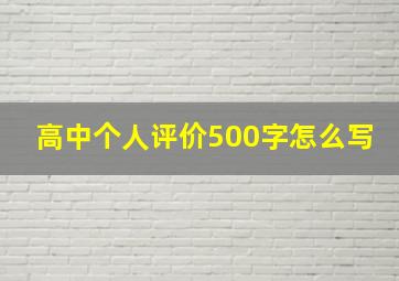 高中个人评价500字怎么写