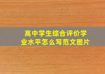 高中学生综合评价学业水平怎么写范文图片