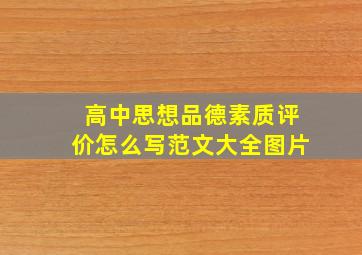 高中思想品德素质评价怎么写范文大全图片