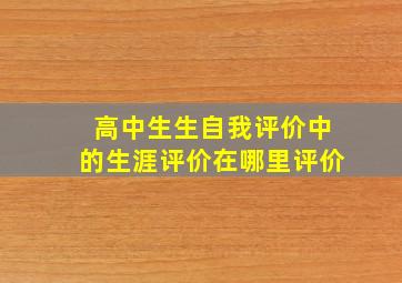 高中生生自我评价中的生涯评价在哪里评价