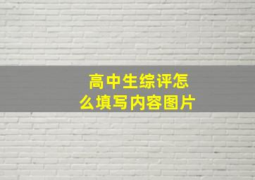 高中生综评怎么填写内容图片