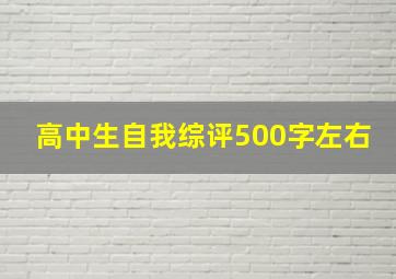 高中生自我综评500字左右