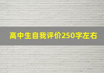 高中生自我评价250字左右