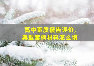 高中素质报告评价,典型案例材料怎么填