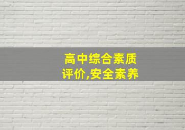 高中综合素质评价,安全素养