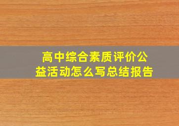 高中综合素质评价公益活动怎么写总结报告