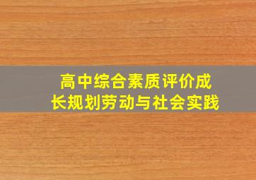 高中综合素质评价成长规划劳动与社会实践