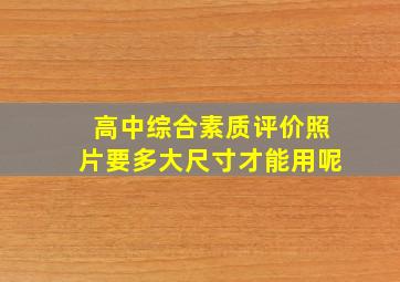 高中综合素质评价照片要多大尺寸才能用呢